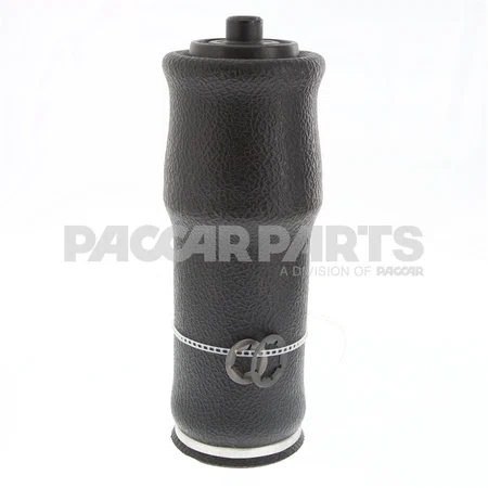 1101A042-AIR-SPRING_1