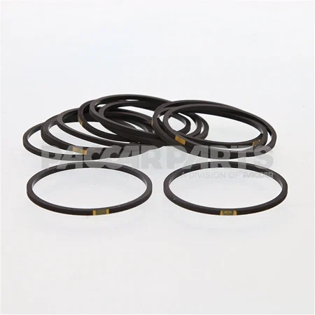 129888CUM SealRectangular Ring