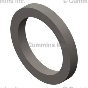 154087-SEALRECTANGULAR-RING_1