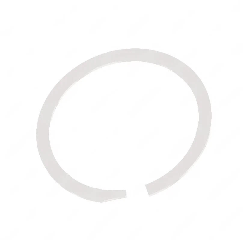 18-38779-000 RETAINING RING-INTERNA