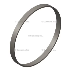 215090-RINGLINER-PACKING