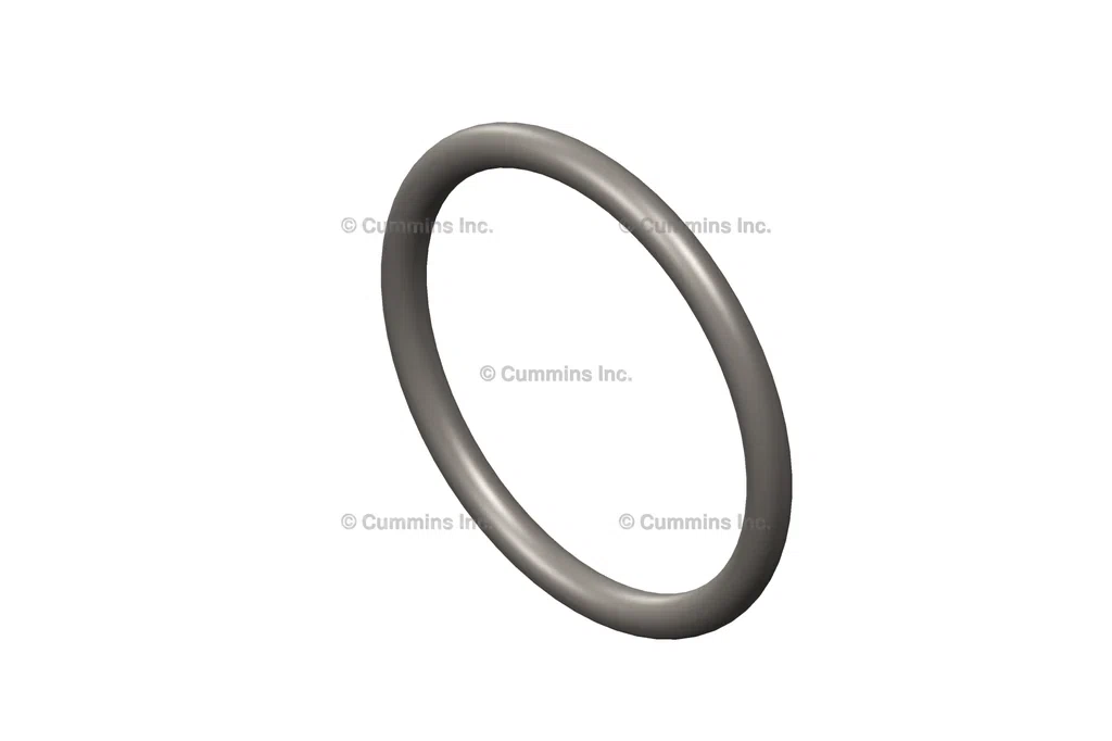 3678846-SEALO-RING_1