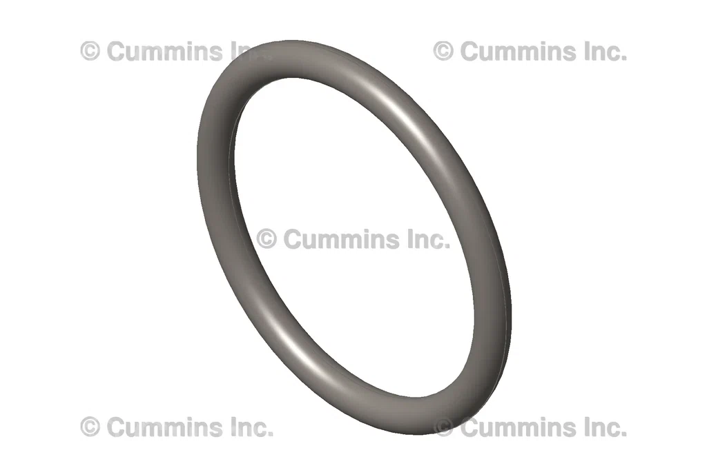 3678925-SEALO-RING_1