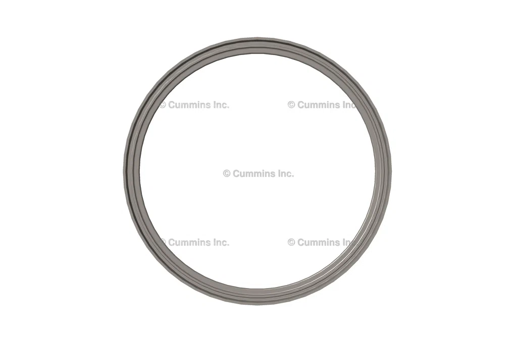 3895023 SEAL,DUST