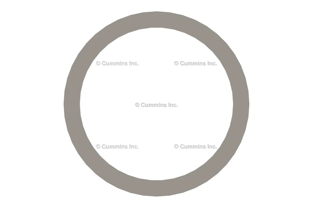 3902425 WASHER,SEALING