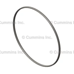 3906694 SEAL,RECTANGULAR RING