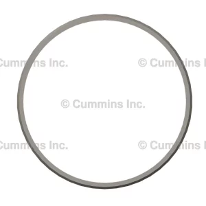3935032 SEAL,RECTANGULAR RING