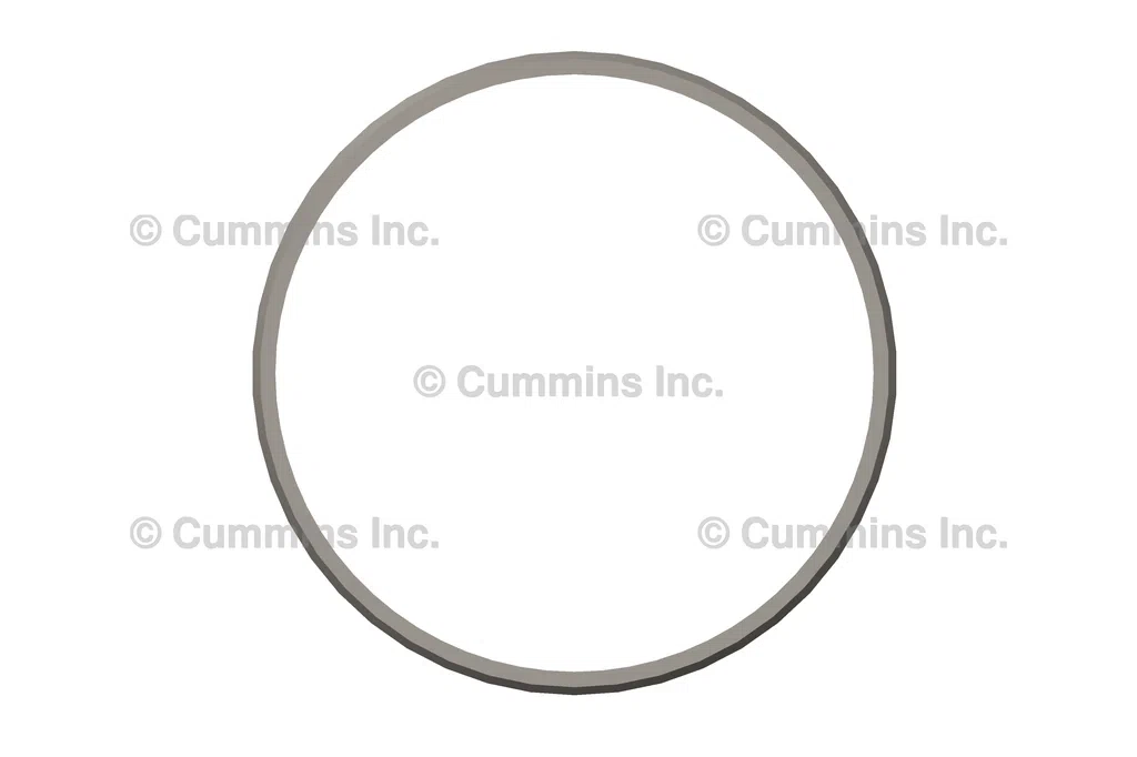 3935032 SEAL,RECTANGULAR RING