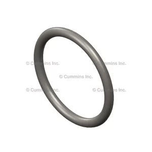 3969698 SEAL,O RING