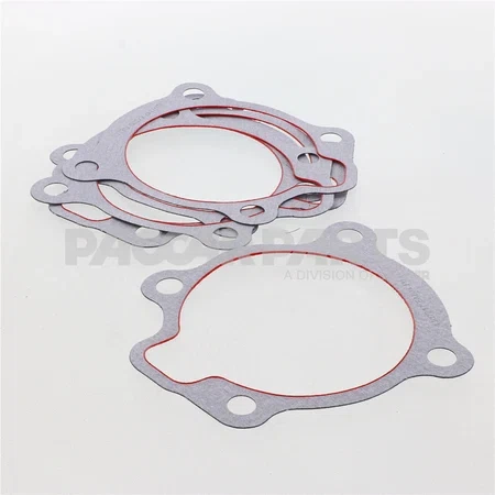 4307247 Gasket