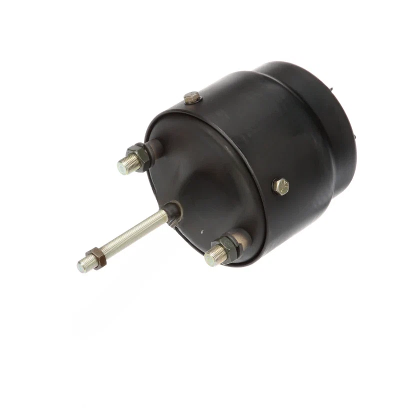 BW 229818N TYPE 24 ROTOCHAMBER