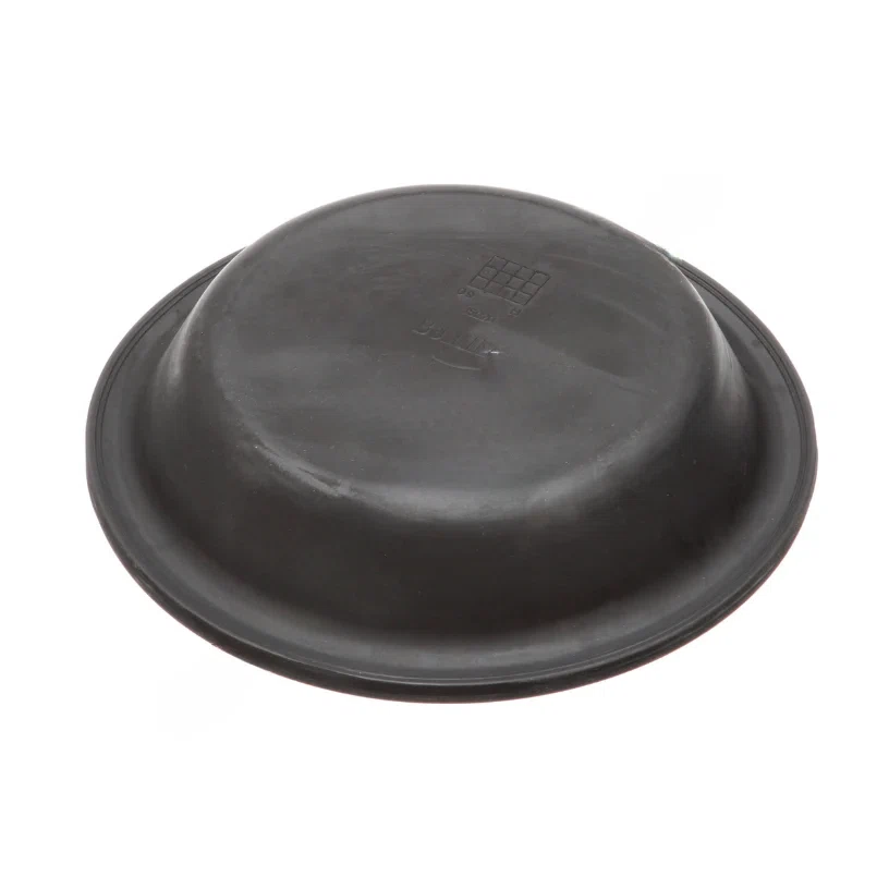 BW 234362N DIAPHRAM