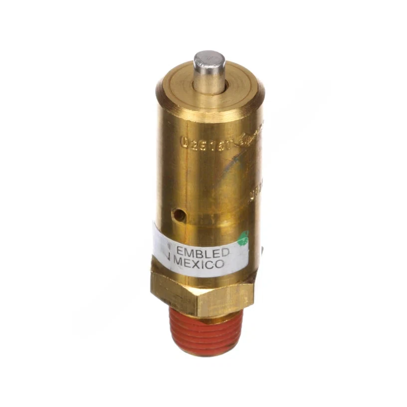 BW-285835N-SAFETY-VALVE_1
