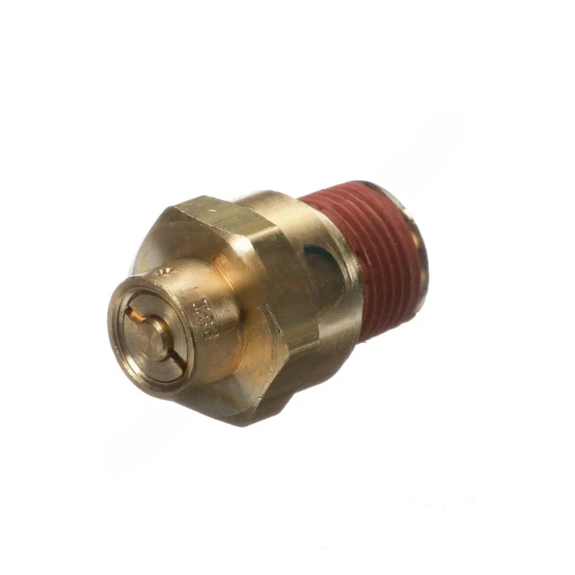 BW 800170 SAFETY VALVE