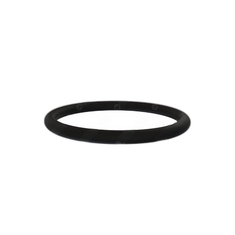 DDE A0189979245 O-RING