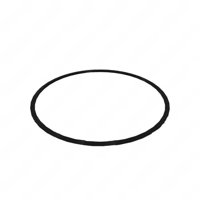 DDE A0219972545 SEAL RING