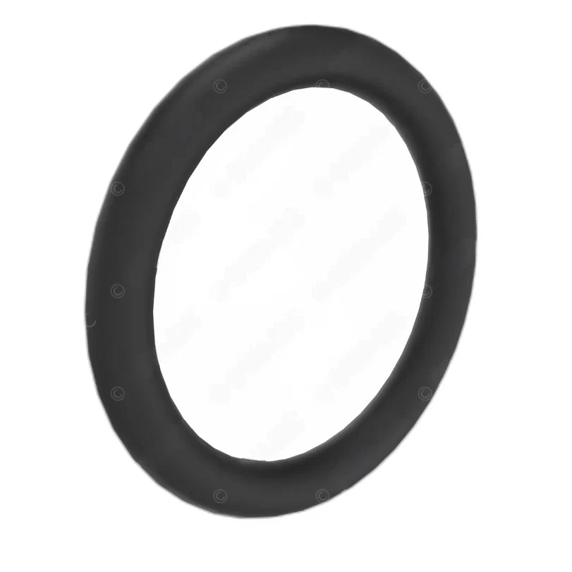 DDE-A0249971648-SEAL-RING_1
