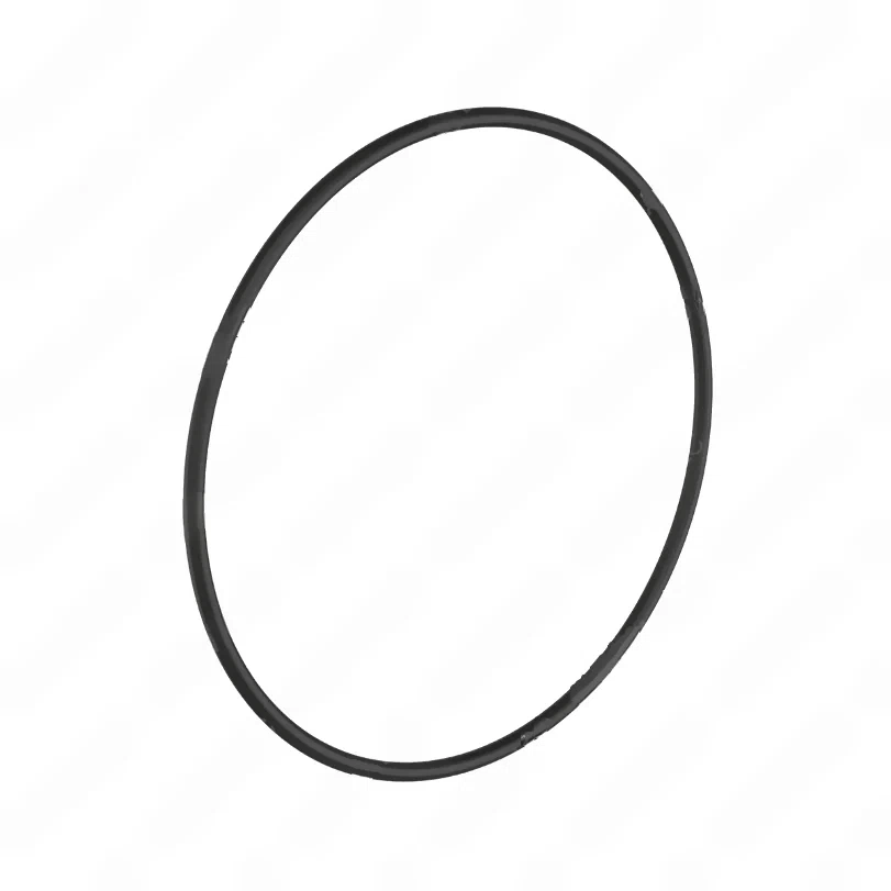 DDE-A0289972045-O-RINGS-TOROIDAL-SEALING-RINGS_1