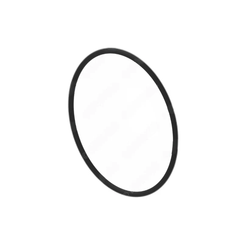DDE-A4579970945-O-RING_1