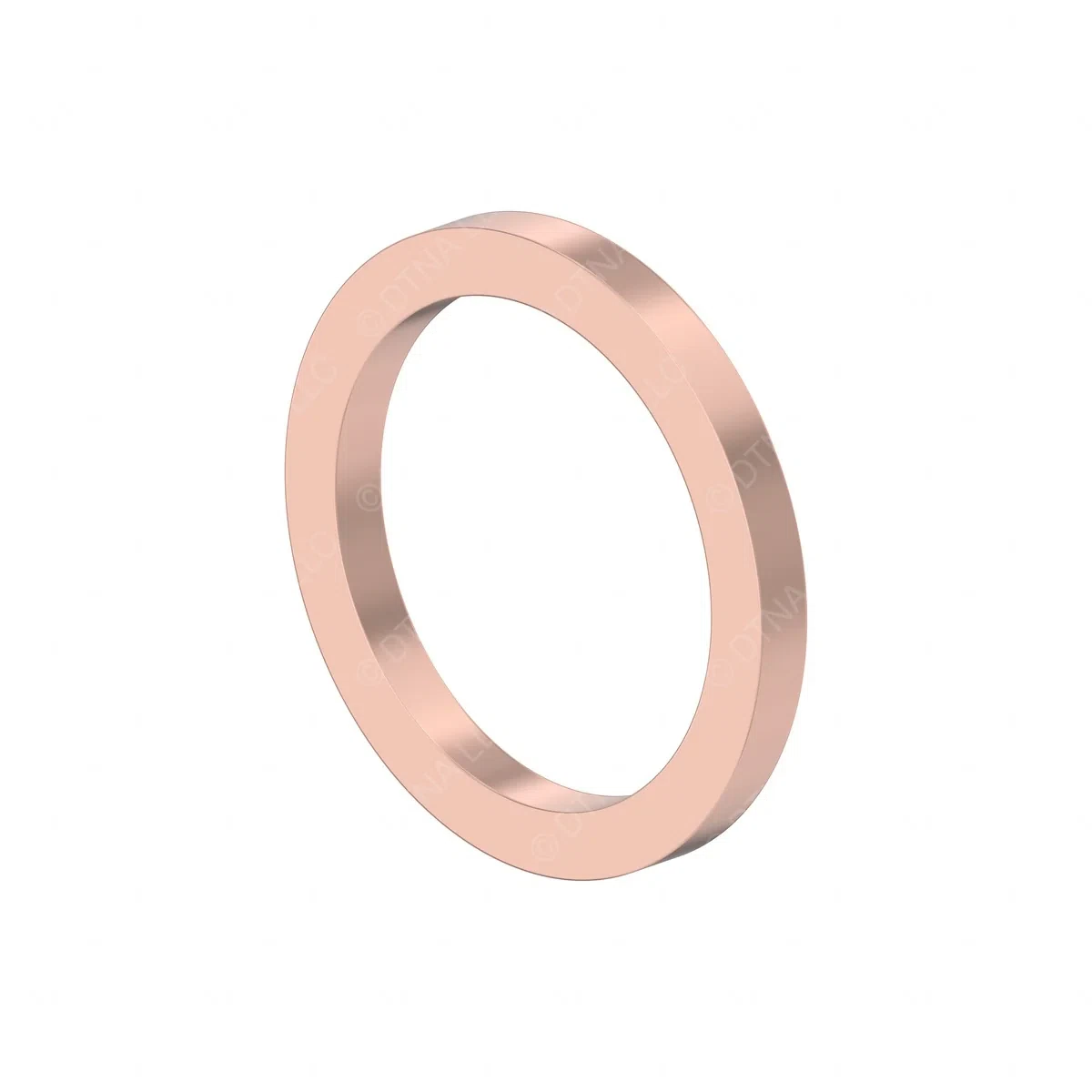 DDE-N007603008103-SEAL-RING_1