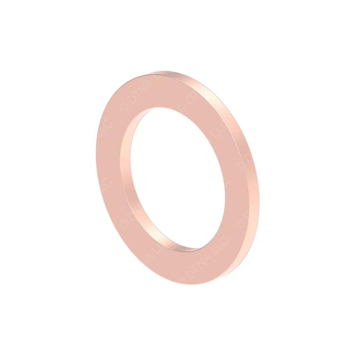 DDE-N007603010406-SEAL-RING_1