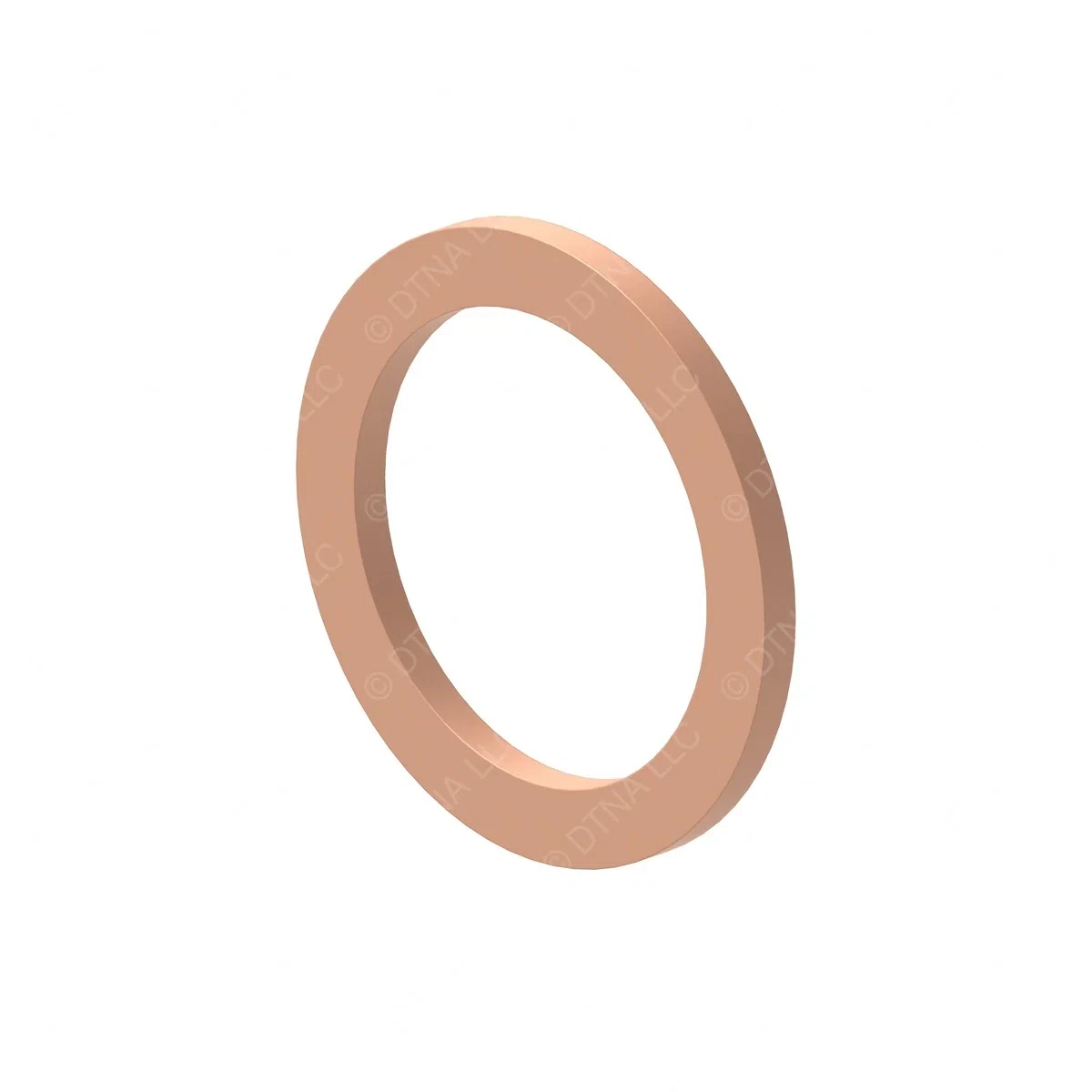 DDE N007603017101 SEAL RING
