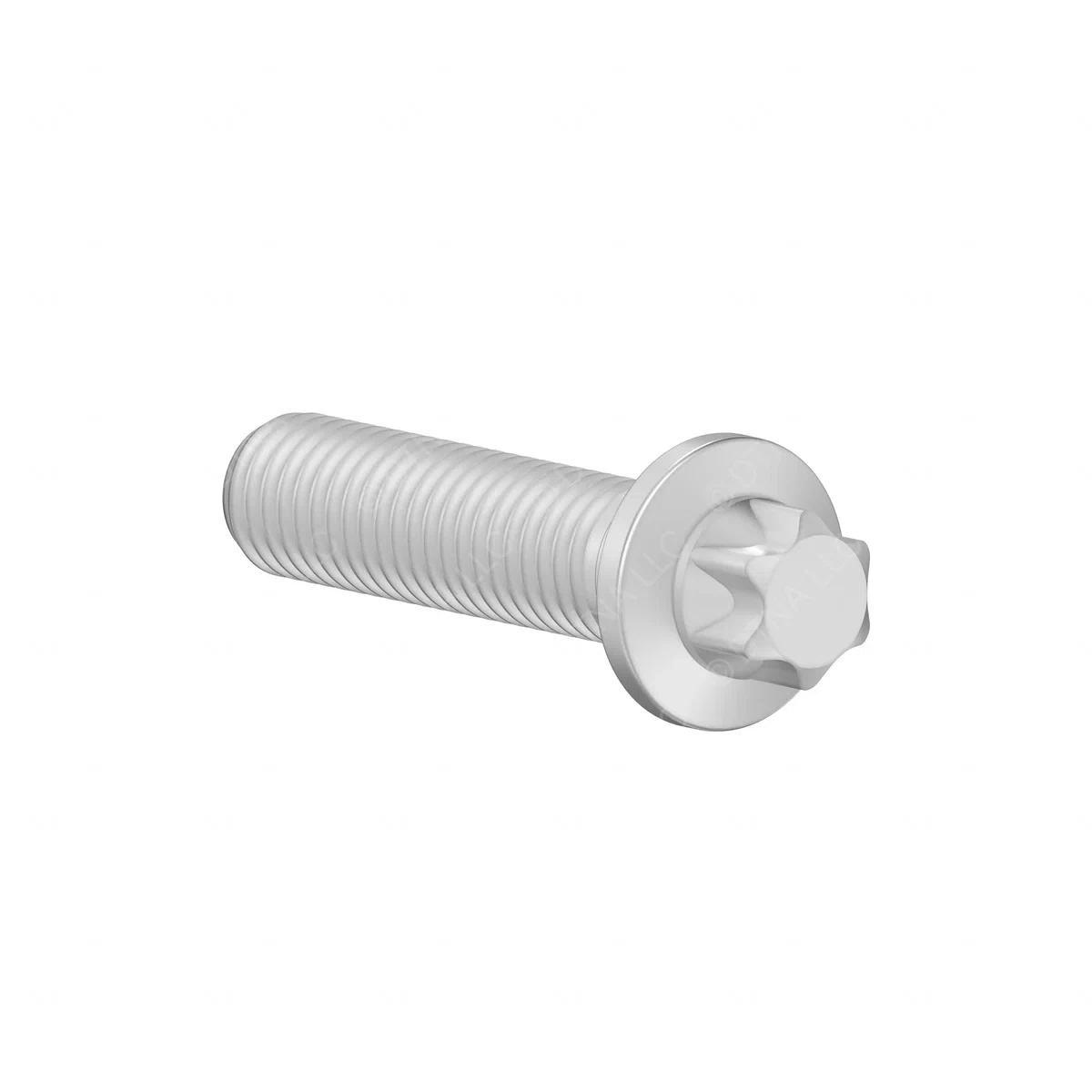 DDE-N910142010009-SCREW_1