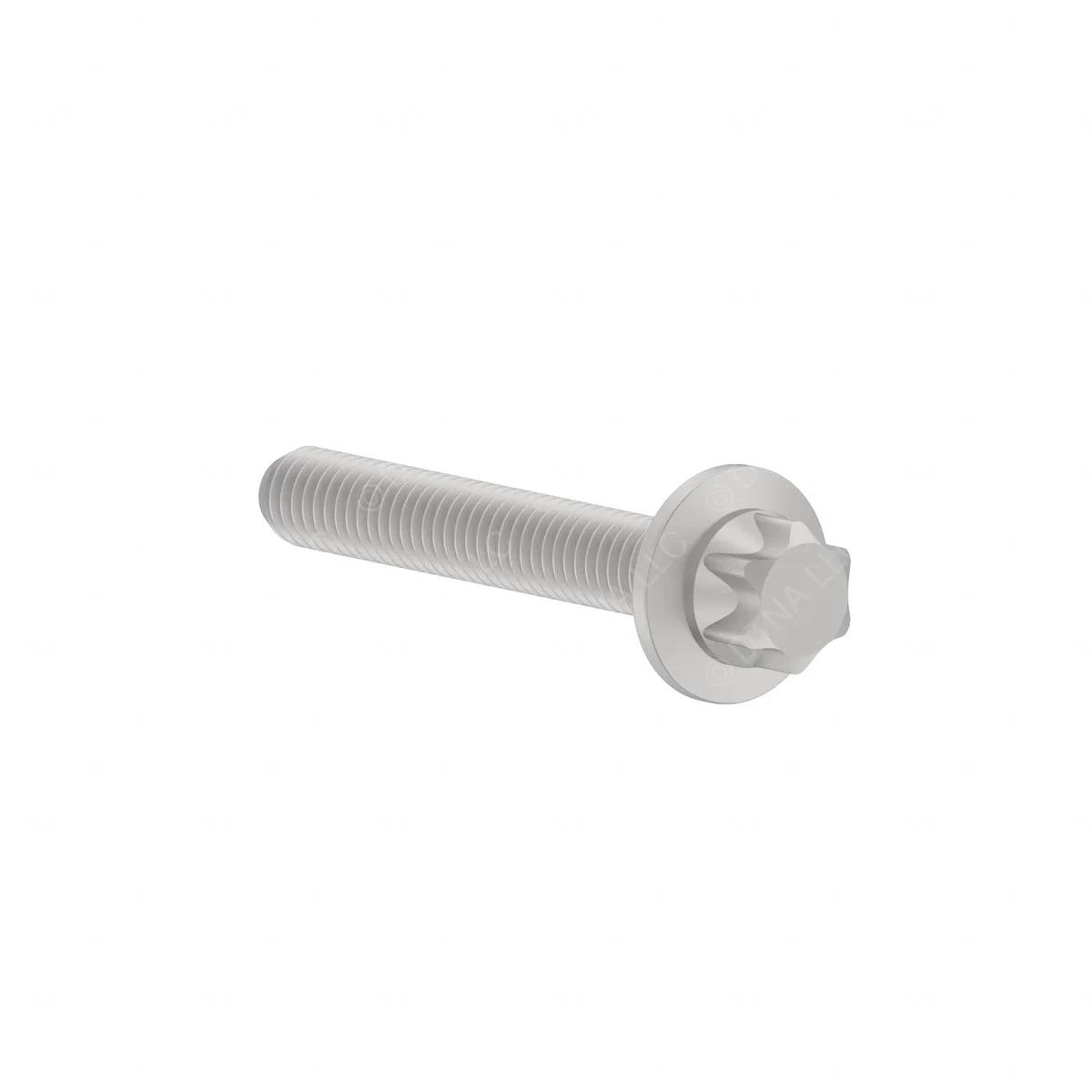 DDE N910143006006 SCREW