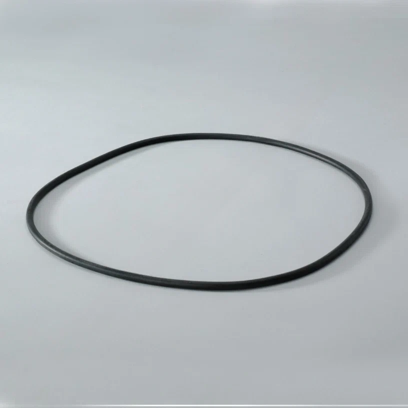 DN-P017335-O-RING_1