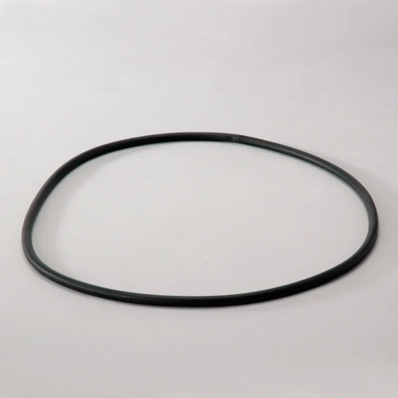 DN P017568 O Ring