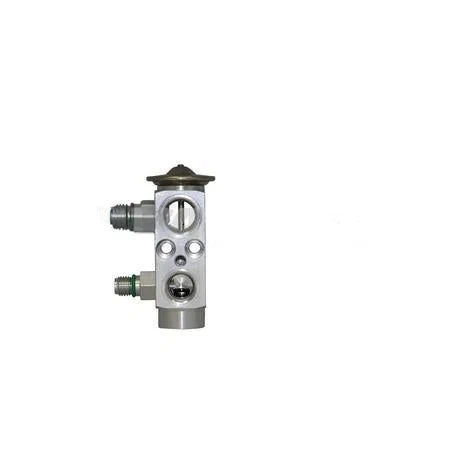 EA16100 VALVE-EXPANSION