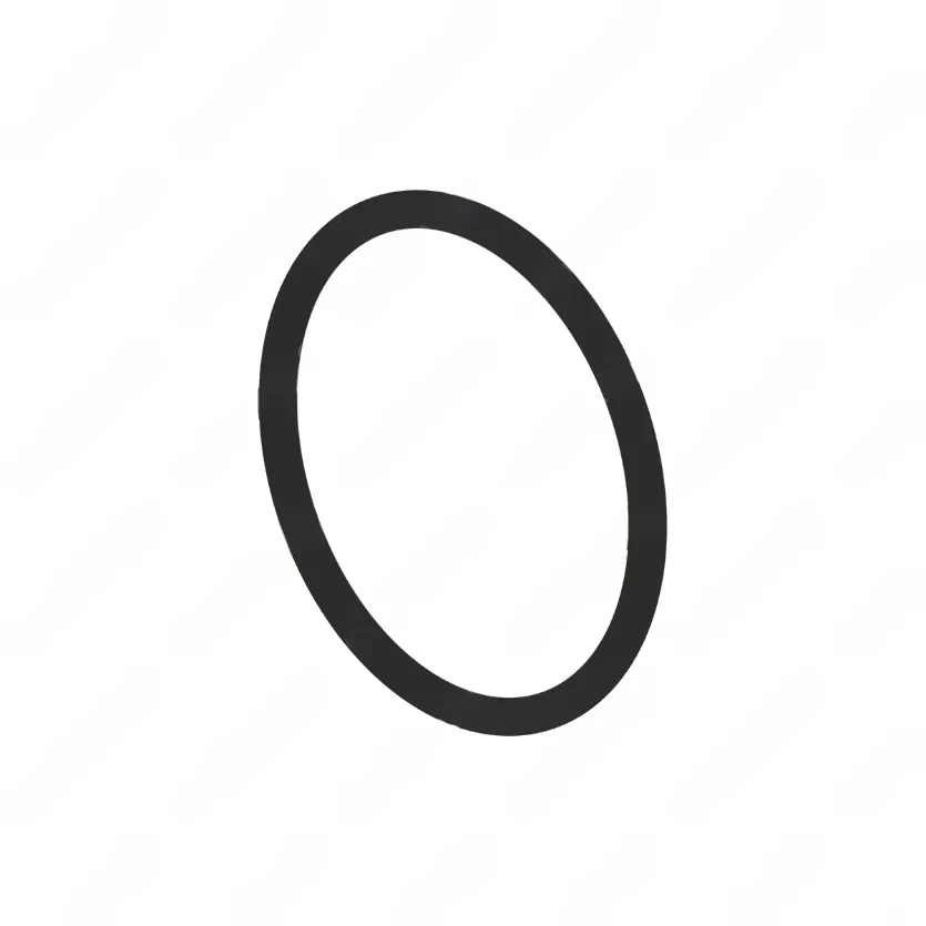 MMH MVG65 1010 O-RING 54X3