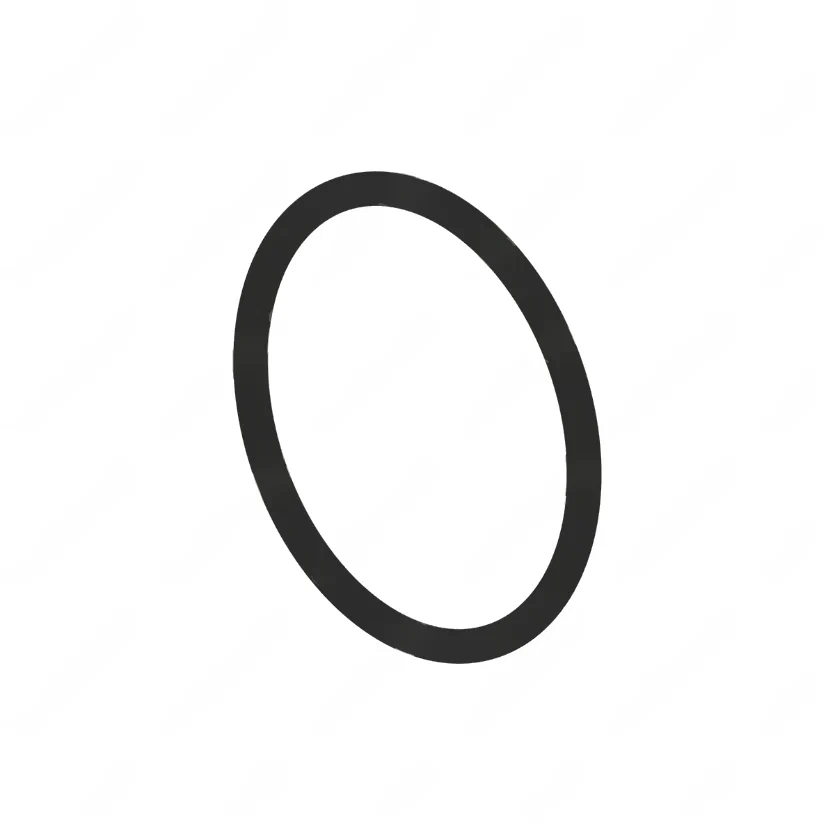 MMH MVG65 1015 O-RING 55X3
